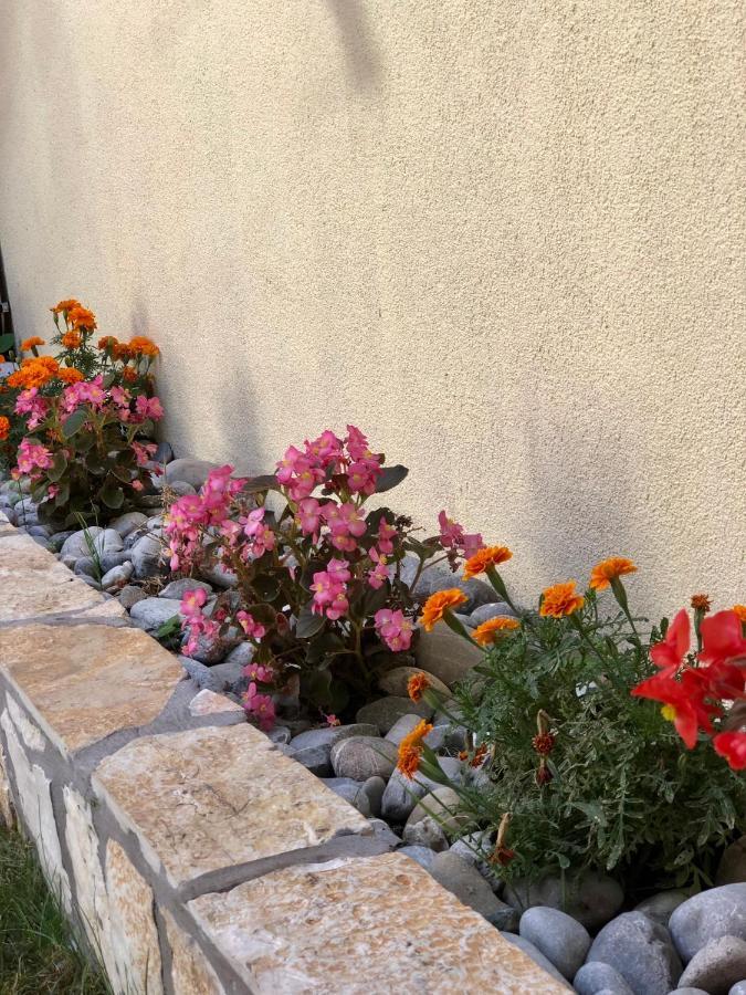 Vila Razic Danilovgrad Exterior foto